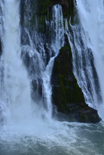 DSC_5941 (Large).JPG